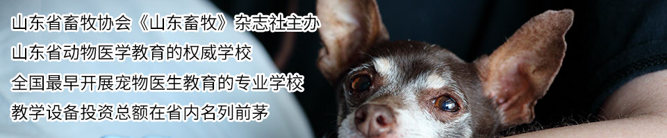 全国最大的信誉平台