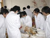 全国最大的信誉平台