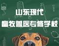 对照阅读